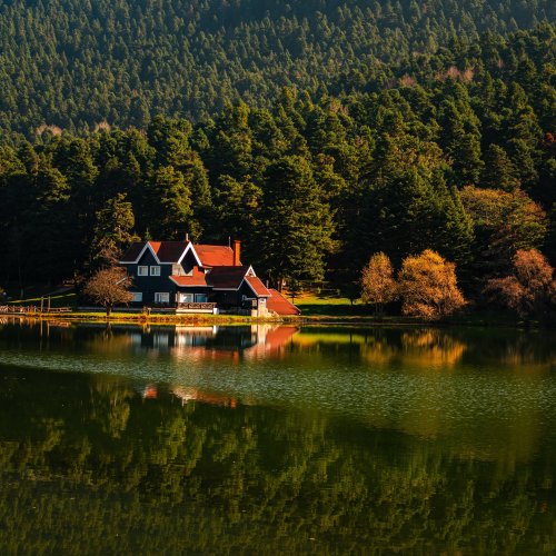 Тест по географии: Природа и цивилизация (10 класс)