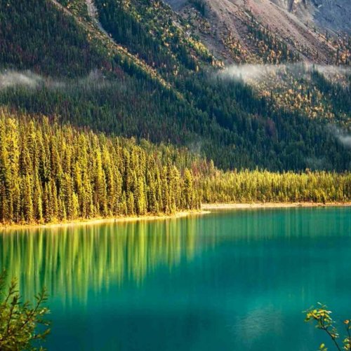 Тест по географии: Природные комплексы (10 класс)