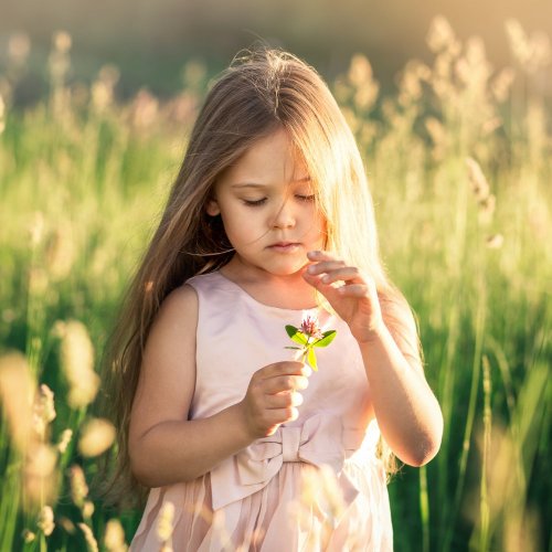 Тест по окружающему миру: Будь природе другом! (2 класс)