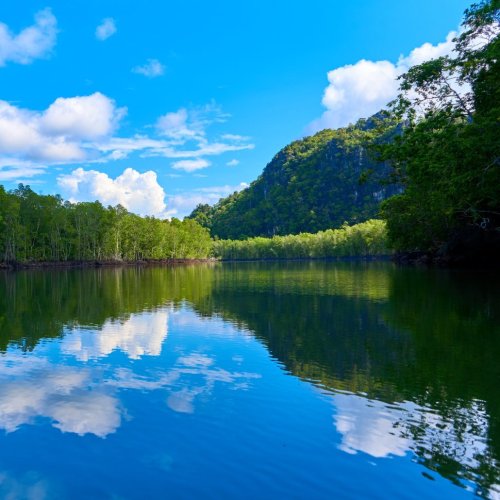 Тест по окружающему миру: Водные богатства (2 класс)