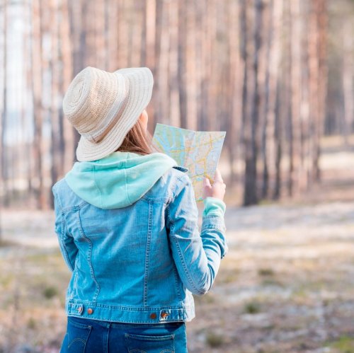 Тест по географии: Земная поверхность на плане и карте (5-6 класс)