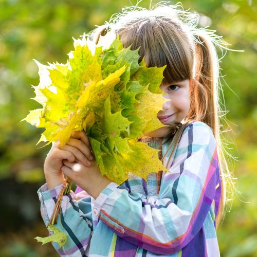 Тест по окружающему миру: Природа и человек (3 класс)