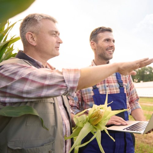 Тест по географии: Аграрные отношения (10 класс)