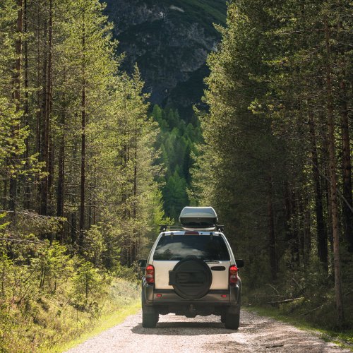 Тест по окружающему миру: Природа и рукотворный мир (2 класс)