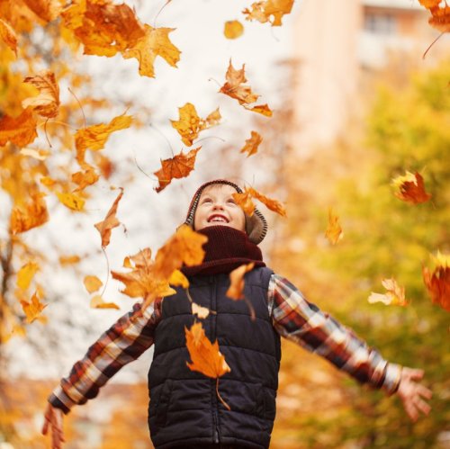 Тест по биологии: Листопад (6 класс)