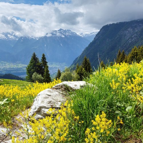 Тест по окружающему миру: Как устроен мир (3 класс)