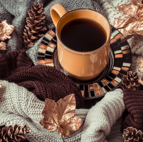 Тест: Ноябрь — что вы знаете о третьем месяце осени?