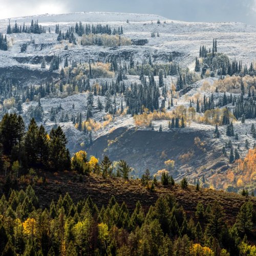 Тест по географии: Восточная Сибирь (9 класс)