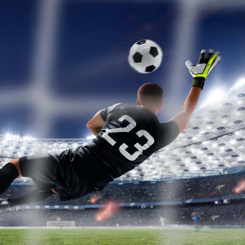 Тест по физкультуре: Летние олимпиады (10-11 класс)