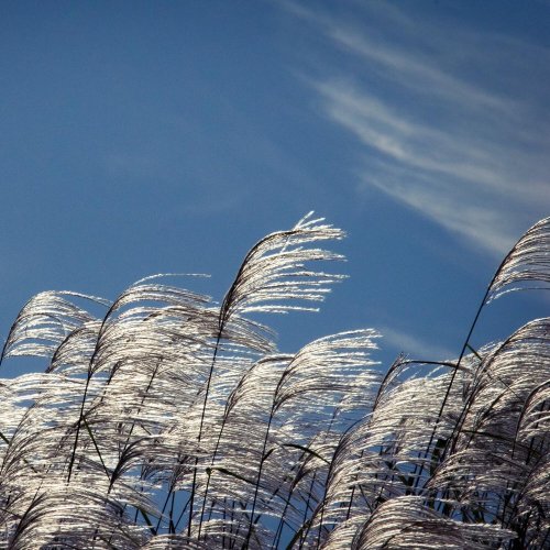 Тест по географии: Какой бывает ветер (5-6 класс)