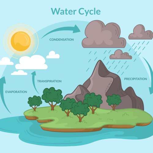 Тест по географии: Как происходит круговорот веществ в биосфере (5-6 класс)