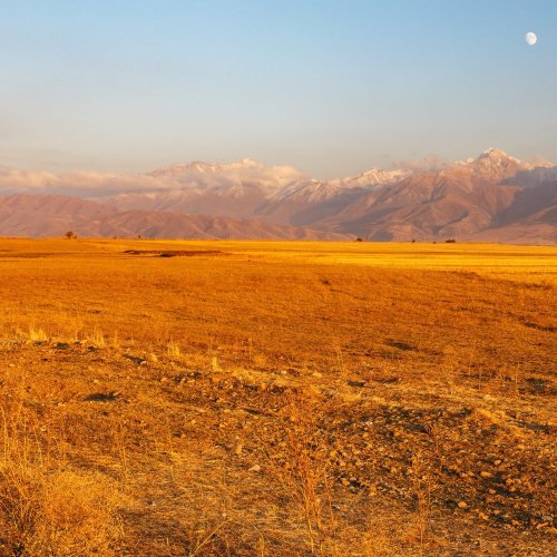 Тест по географии: Какие бывают равнины (5-6 класс)