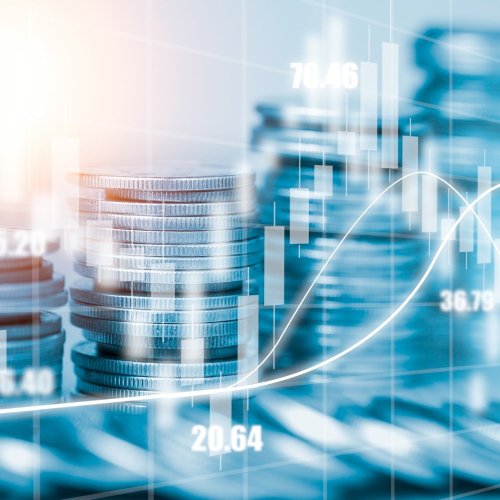 Тест по географии: Свободные экономические зоны (10 класс)