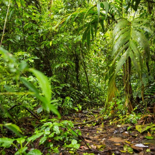 Тест по географии: Почему в тропиках теплее, чем на полюсе (5-6 класс)