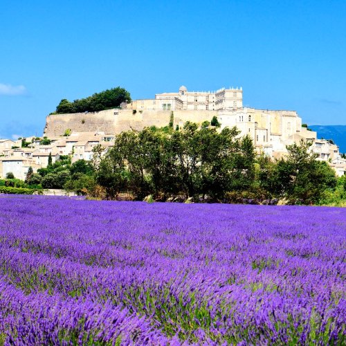 Тест по географии: Франция. Внутренние различия (11 класс)