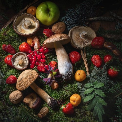 Тест по ОБЖ: Как отыскать питание в лесу (6 класс)