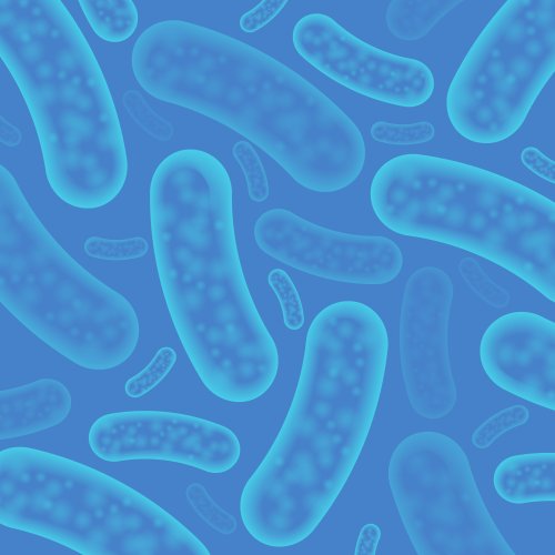 Тест по биологии: Питание бактерий (5-6 класс)