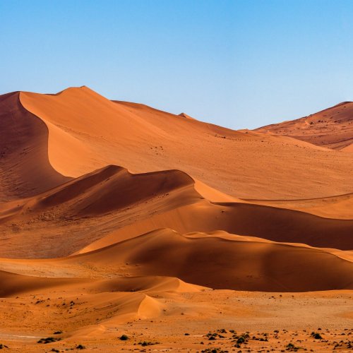 Тест по окружающему миру: Пустыни (4 класс)