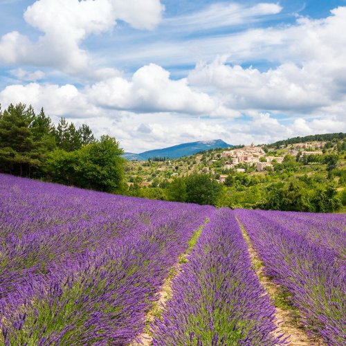 Тест по географии: Франция. Географическое положение, природные условия и ресурсы (11 класс)