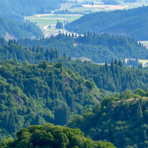 Тест по географии: Урал (9 класс)