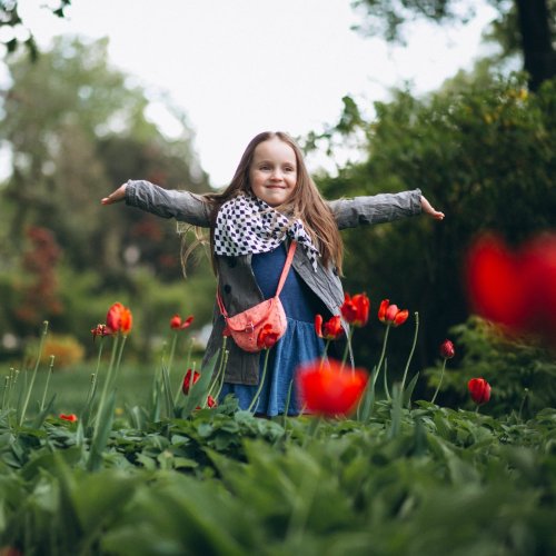 Тест по окружающему миру: Посмотри вокруг (2 класс)