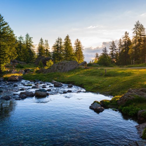 Тест по географии: Что объединяет и что различает природные комплексы (5-6 класс)