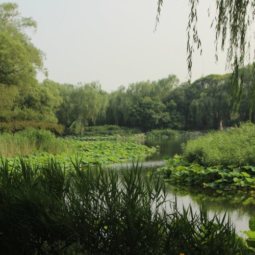 Тест по географии: Озёра и болота (5-6 класс)