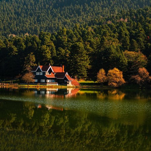 Тест по географии: Германия. Географическое положение, природные условия и ресурсы (11 класс)