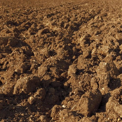 Тест по географии: Что такое почва (5-6 класс)