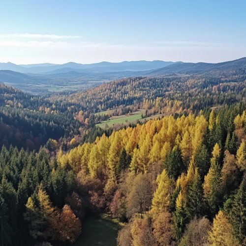 Тест по географии: Европейский Северо-Запад (9 класс)