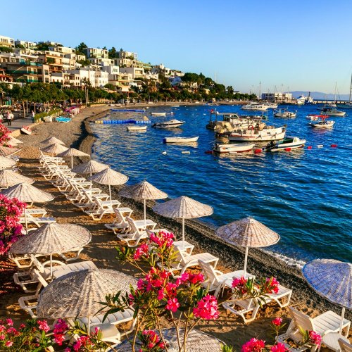 Тест по географии: Юго-Западная Азия и Северная Африка. Внутренние различия (11 класс)