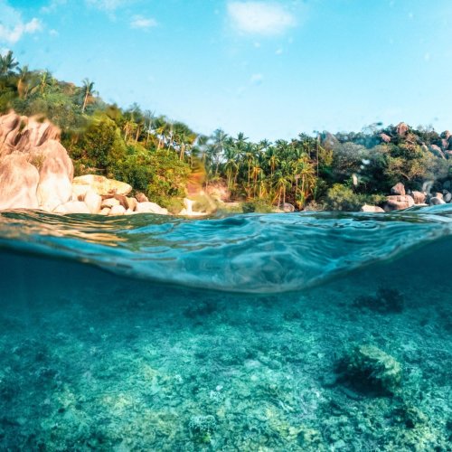 Тест по географии: Что такое Мировой океан (5-6 класс)