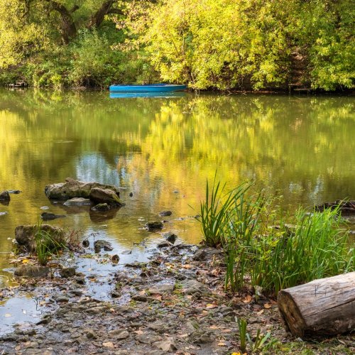 Тест по биологии: Водная среда (8 класс)