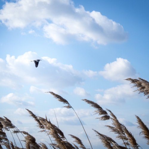 Тест по географии: Почему дует ветер (5-6 класс)