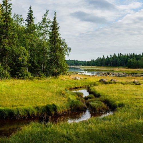 Тест по окружающему миру: Родной край – часть большой страны (4 класс)
