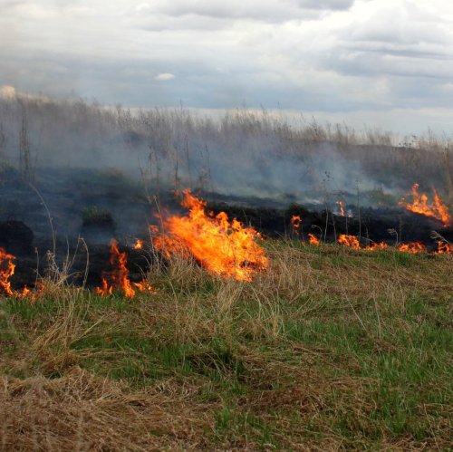 Тест по ОБЖ: Степной пожар (7 класс)