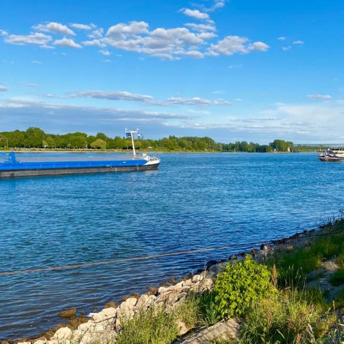 Тест по окружающему миру: Путешествие по Волге (4 класс)