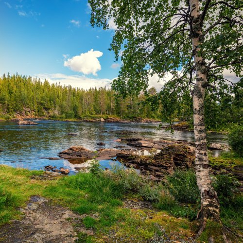 Тест по географии: Природные комплексы (5-6 класс)