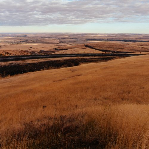 Тест по окружающему миру: Царство тепла и сухих ветров (4 класс)
