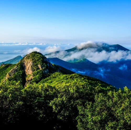 Тест по географии: Зарубежная Азия. Природное своеобразие и ресурсы (11 класс)