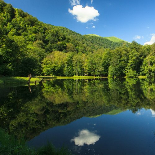 Тест по географии: Какие бывают озёра (5-6 класс)