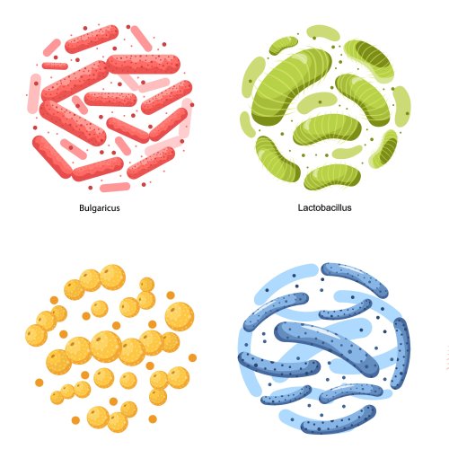 Тест по биологии: Роль бактерий в природе (5-6 класс)