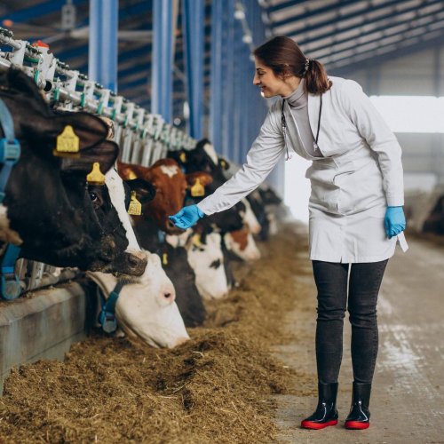 Тест по географии: Каковы особенности животноводческой отрасли (9 класс)