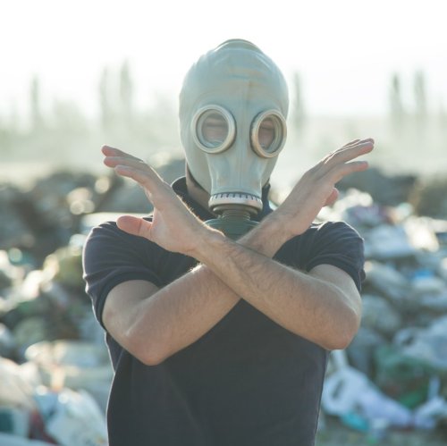 Тест по географии: Деградация глобальной экологической среды (11 класс)