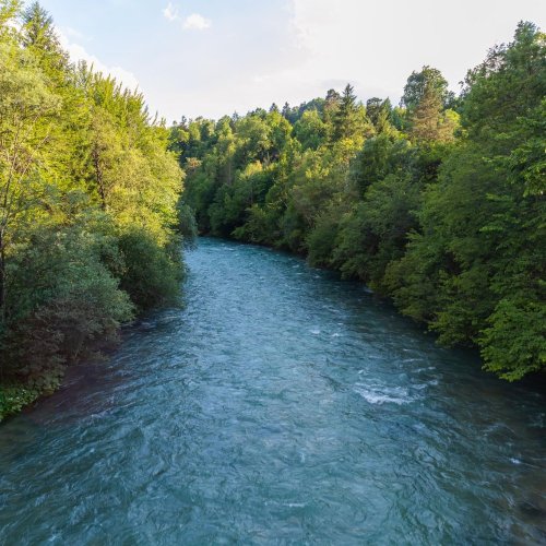 Тест по географии: Реки — артерии Земли (5-6 класс)