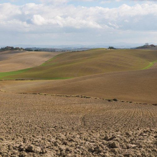 Тест по географии: Какие бывают почвы (5-6 класс)