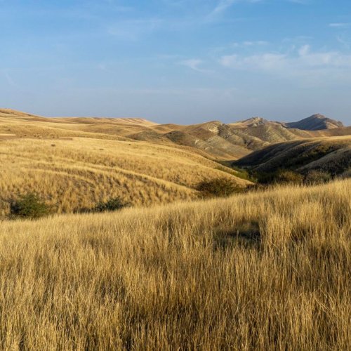 Тест по окружающему миру: Зона степей (4 класс)