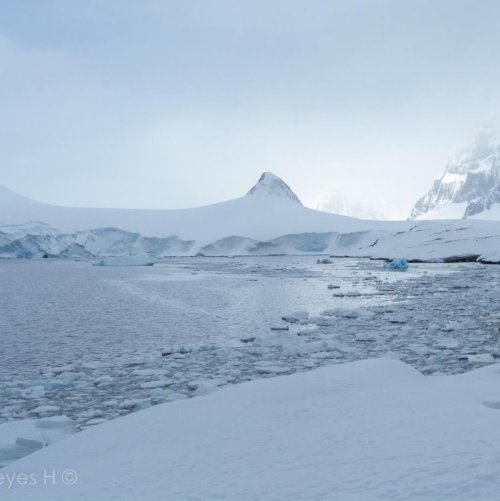Тест по окружающему миру: Зона арктических пустынь (4 класс)