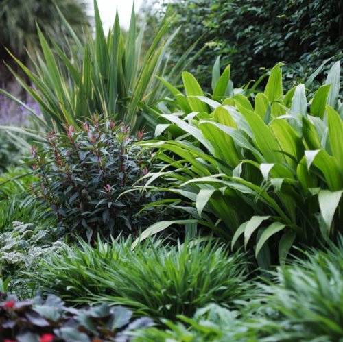 Тест по биологии: Типы клеточного питания. Фотосинтез и хемосинтез (10 класс)