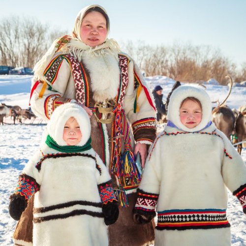 Тест по географии: Чем заняты коренные жители тундры (8 класс)